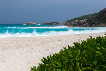 Wall Mural - White sand beach and a seascape with waves some green plants and rocks