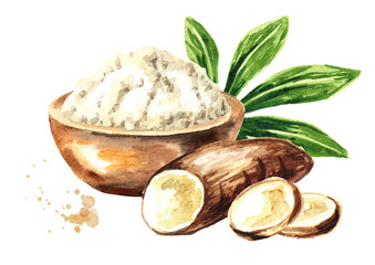 Cassava root, tuber, slices, powder and slices. Manihot esculenta. Watercolor hand drawn illustration, isolated on white background