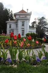  Ataturk kiosk with tulips garden, formerly used as Kapagiannidis summer residence, in Trabzon, Turkey