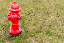 Bright Red Fire Hydrant Surrounded By Grass