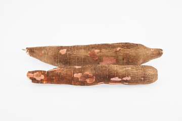 Raw yucca on white background-Manihot esculenta. (Cassava raw tuber)