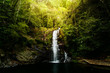 © Ryan Longnecker - Belizean Jungle Waterfall