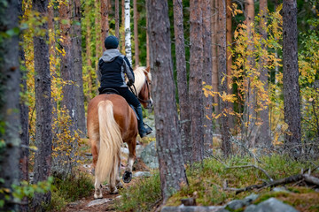 Woman horseback riding in forest