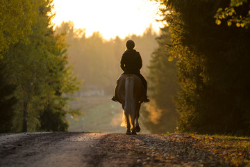 Wall Mural - Woman horseback riding