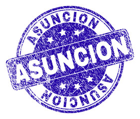 ASUNCION stamp seal watermark with distress effect. Designed with rounded rectangle and circles. Blue vector rubber watermark of ASUNCION tag with unclean texture.