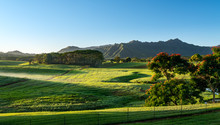 Flowering Trees Frame View Of The Na Pali Mountains Over Fairy Tale Landscape Of Kauai