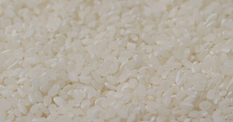 Canvas Print - White uncooked rice