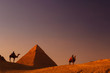 ピラミッドと駱駝