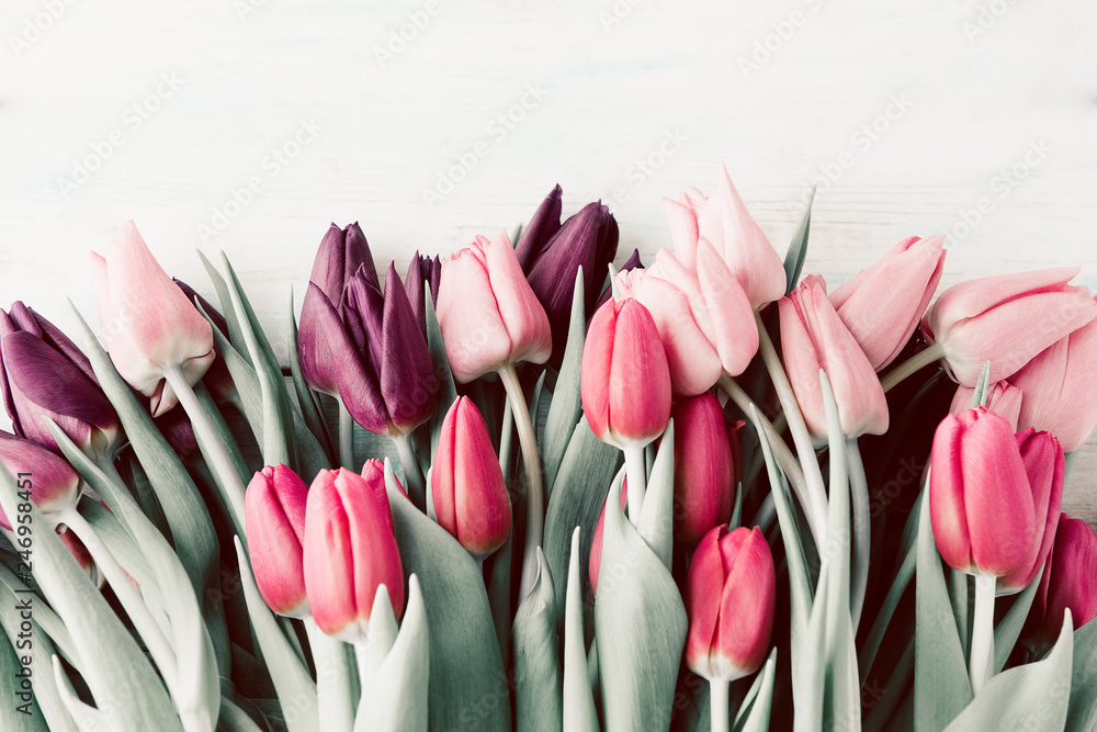 Spring tulips lying on white wooden table background - obrazy, fototapety, plakaty 