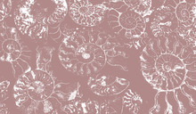 Abstract Background Of Fossil Ammonites, Ammonoidea. Decorative Wallpaper Of Petrified Shells. Print From White Textured Spirals Of Seashells On Gray-brown Backdrop. Stamps Of Cephalopoda Mollusks.