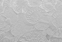 Abstract Background Of Fossil Ammonites, Ammonoidea. Decorative Wallpaper Of Petrified Shells. Print From Spirals Of Seashells On White Backdrop. Stamps Of Cephalopoda Mollusks On Textured Plaster.