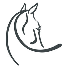 Logo Of The Head Horse, Vector Illustration
