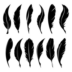 feathers pen black icon silhouette. logo goose lightweight feather contour. vector illustration