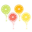 Realistic citrus slice set with leaves and drops of juice. Juicy lemon grapefruit lime and orange fruit. Fresh organic fruit design on white background vector illustration