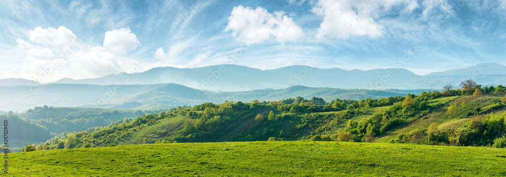 panorama of beautiful countryside of romania. sunny afternoon. wonderful springtime landscape in mountains. grassy field and rolling hills. rural scenery - obrazy, fototapety, plakaty 