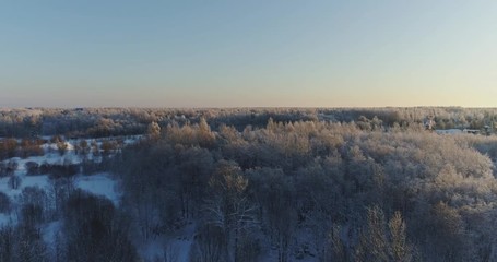 Wall Mural - Aerial view of beautiful sunset at winter forest. Trees covered with snow and frost.