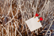 white square sheet of paper is attached by two red decorative wooden clothespins in the form of hearts to the snow-covered branches of a Bush in frost. Blank for Valentine's day, wedding, love message