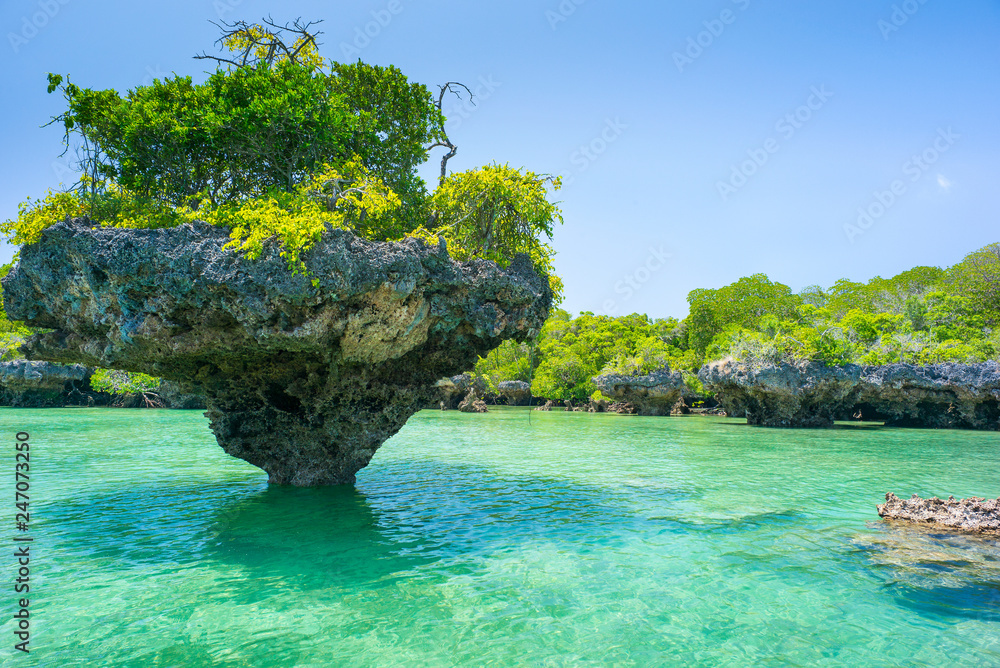 stone rock with trees in lagoon in Zanzibar - obrazy, fototapety, plakaty 