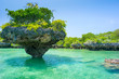 stone rock with trees in lagoon in Zanzibar