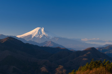 Wall Mural - 富士山