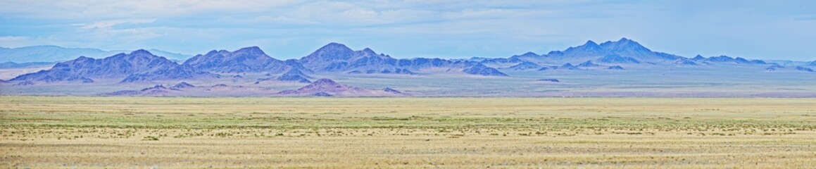 Wall Mural - Mongolian dry steppe