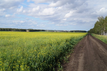 rural road in the field