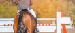 © taylon - Horse horizontal banner for website header design. Rider in uniform perfoming jump at show jumping competition. Blur sunlight green trees as background.