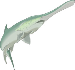 Paddlefish Swimming Vector Illustration