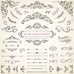 Ornate vintage design elements with calligraphy swirls, swashes, ornate motifs and scrolls. Vector illustration.
