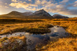 © _Danoz - Golden Morning Light At Rannoch Moor With Snowcapped Scottish Mountains.