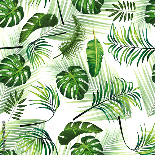 tropical design leaf pattern background