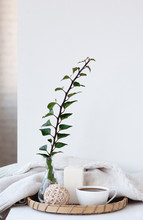 Interior Decor In A Minimalist Style, Ideas. Glass Vase And Green Plant In A Bright Room