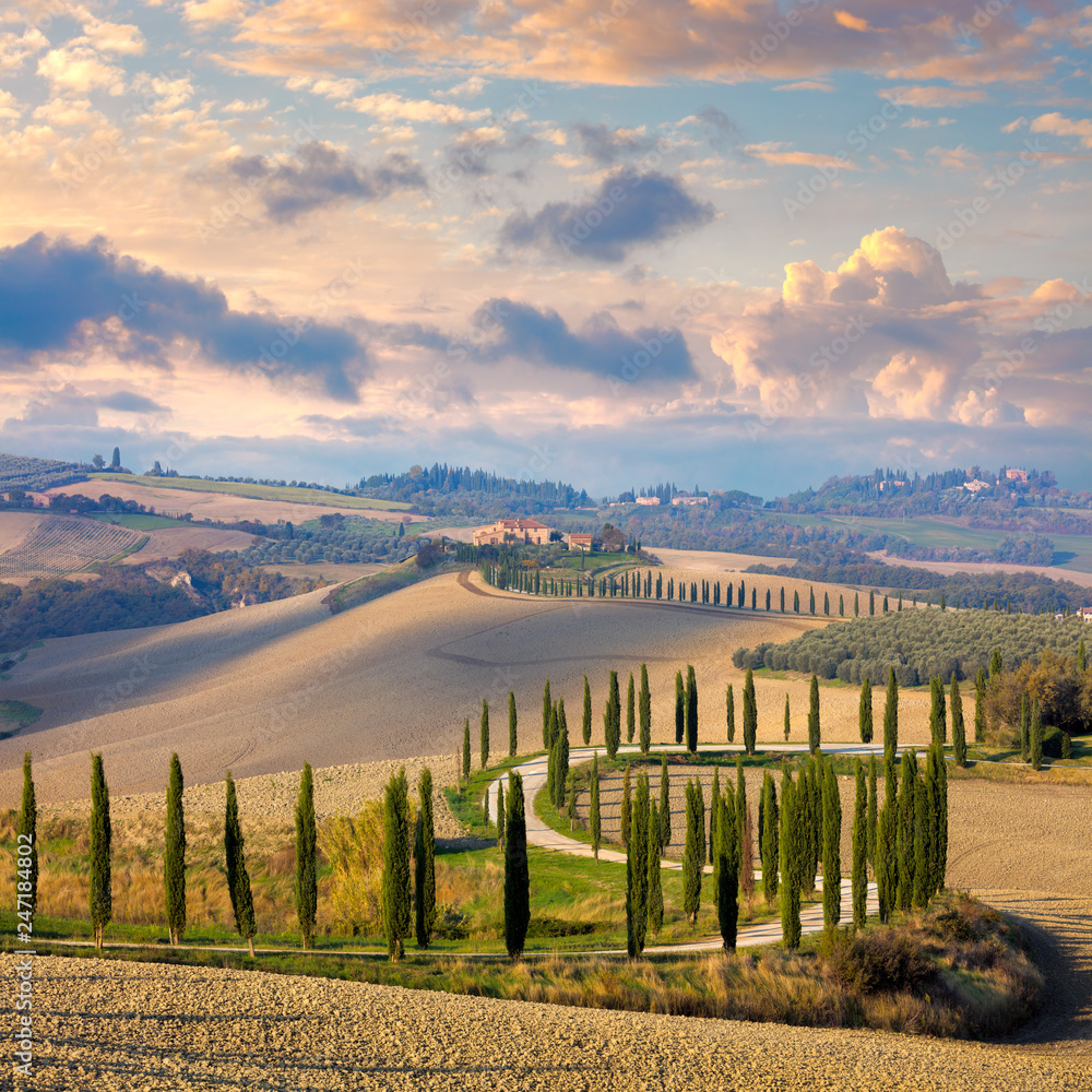 Landscape of hills, country road, cypresses trees - Italy - obrazy, fototapety, plakaty 