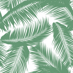  Vector Feathers. Tropical Seamless Pattern with Exotic Jungle Plants. Coconut Tree Leaf. Simple Summer Background. Illustration EPS 10. Vector Feathers Silhouettes or Hawaiian Leaves of Palm Tree.