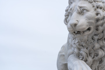 Lion head background