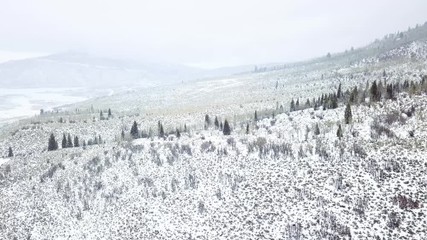 Autocollant - Aerial view of mountains in the Winter.