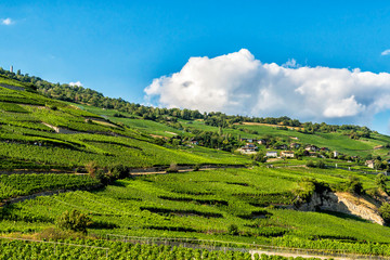 Wall Mural - Swiss Country Hills