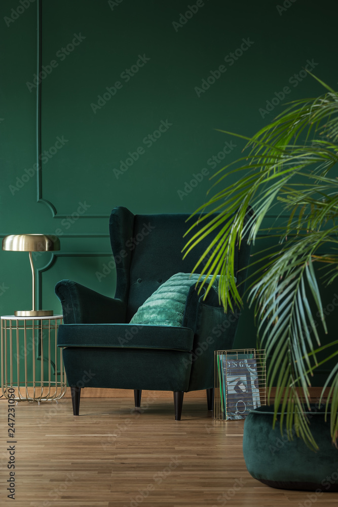 Copy Space On Empty Dark Green Wall Of Stylish Living Room