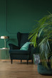 © Photographee.eu - Copy space on empty dark green wall of stylish living room with comfortable armchair and coffee table