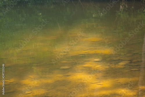 Cuadros en Lienzo Mountain landscape with river details and water texture