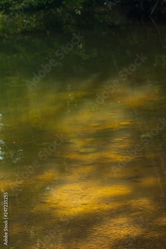 Fotografía Mountain landscape with river details and water texture