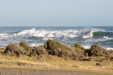 Landscape image of large waves breaking on the coastal shore of Cape Palliser, New Zealand