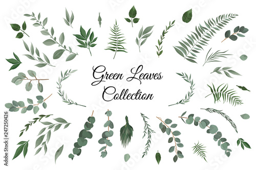 Vector designer elements set collection of greeng leaves herbs in watercolor ...