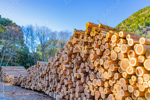 林業イメージ 材木置き場 切り株 木材 Buy This Stock Photo And Explore Similar Images At Adobe Stock Adobe Stock