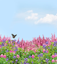 Field Of Flowers With A Butterfly
