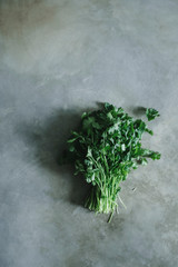 Wall Mural - Bunch of cilantro on a concrete table