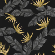 Seamless Composition From Gray Tropical Leaves And Gold Flowers Black Background