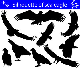 Wall Mural - Collection of silhouettes of sea eagles