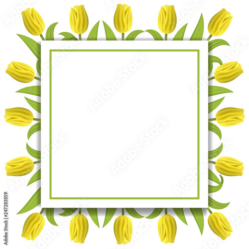 Banner Template Background With Yellow Tulips Square Frame Of
