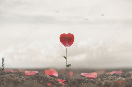 Fotomural romantic flower made to heart symbol of love and freedom